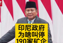 印尼政府为啥叫停190家矿企？